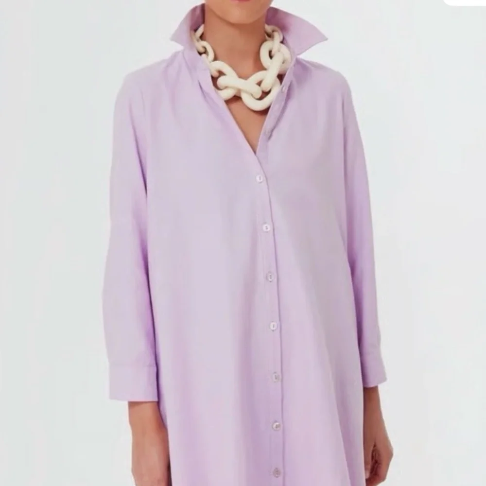 Pomander Place Oxford Harris Shirt Dress - Picture 2 of 4